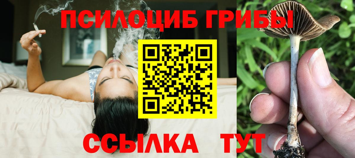 Галлюциногенные грибы мухоморы Губкинский